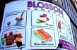  "BLOSSOM" -    ...