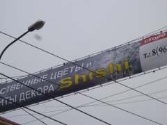"Shishi" - ���� � ������ "�" ��� ��� �������� �������.